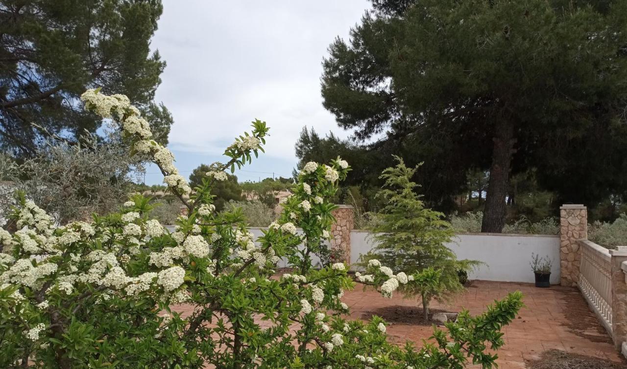 הוילה יקלה Casa De Pascual מראה חיצוני תמונה